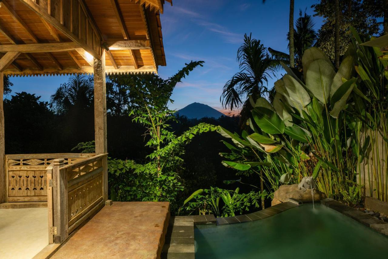 Villa Umah Capung Sebatu *